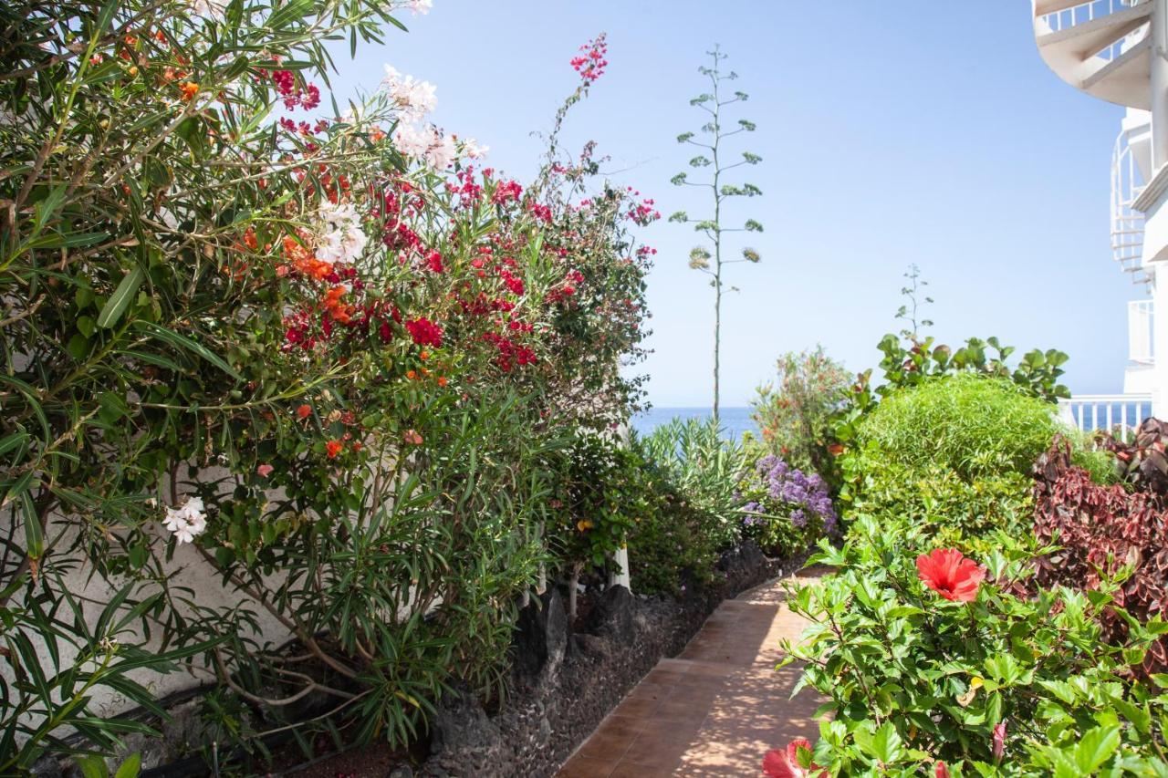 Luxury Princesa Holiday Home Пуэрто-де-Сантьяго Экстерьер фото